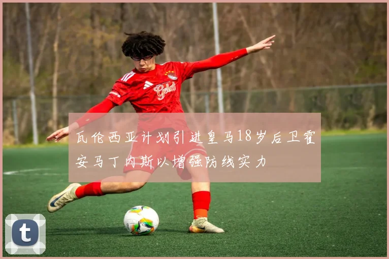 瓦伦西亚计划引进皇马18岁后卫霍安马丁内斯以增强防线实力